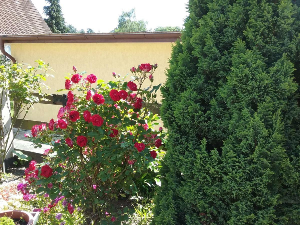 Haus Granitz Daire Sellin  Dış mekan fotoğraf